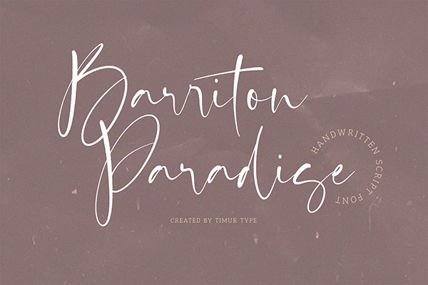 Barriton Paradise - Script Font