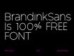 Brandink Modern Sans Serif