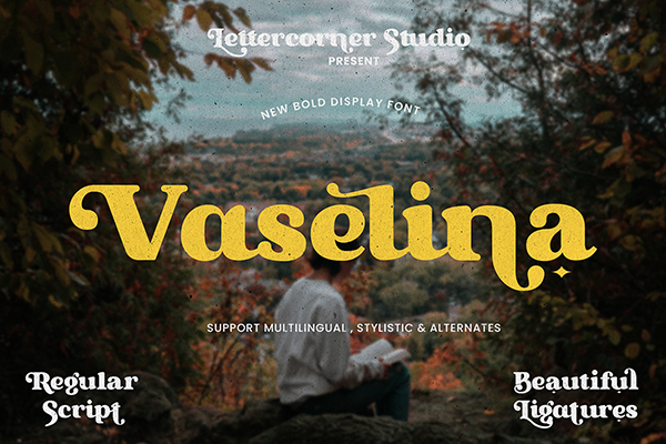 Vaselina - Bold Display Font