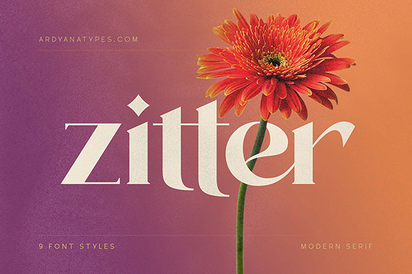 Zitter Decorative Serif