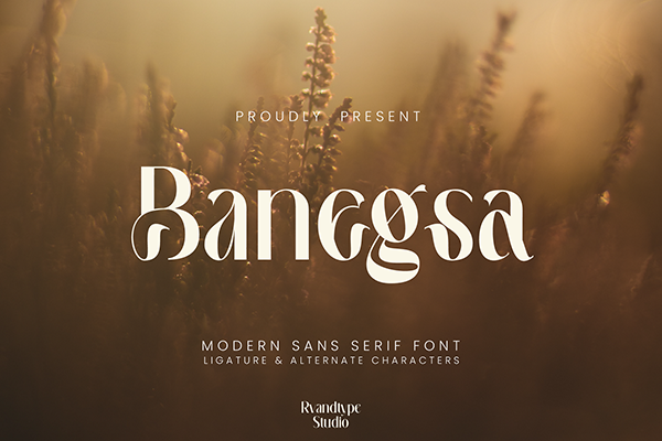 Banegsa Display Font