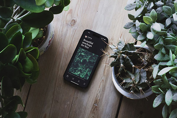 iPhone 14 with Indoor Plant Mockup