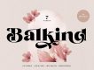 Balkind - Display Serif Font
