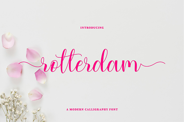Rotterdam Script Font