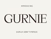 Gurnie - Classic Serif Font