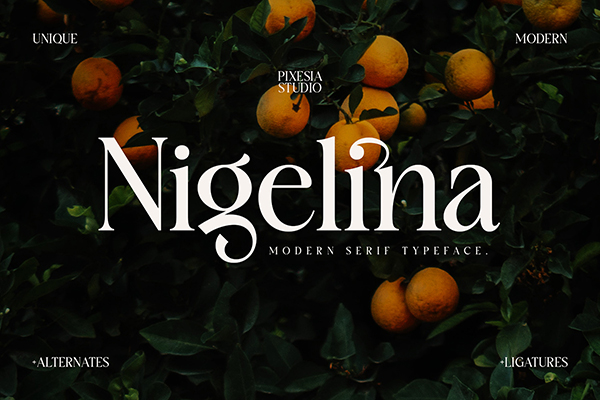 Nigelina - Display Font