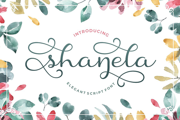Shanela Elegant Script Font