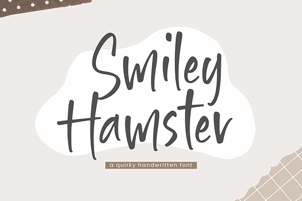 Smiley Hamster Display Font