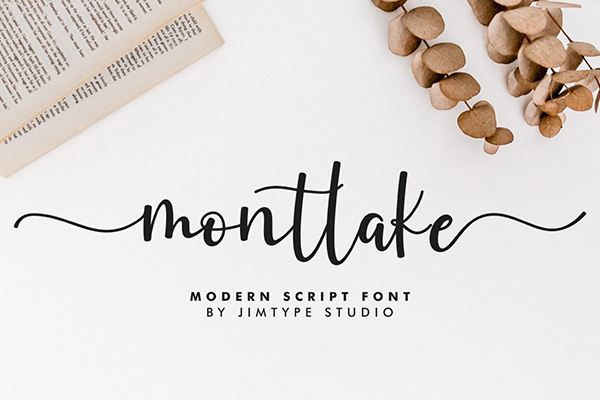 Montlake Script Font
