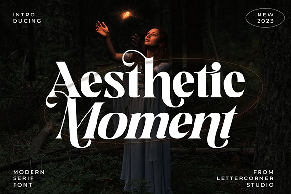 Aesthetic Moment - Modern Serif