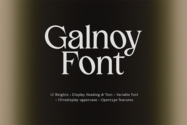 Galnoy Font Family - Free Weight