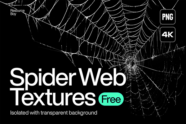 200 Spider Web Textures