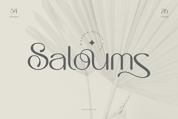 Saloums – Modern Sans Serif Font