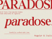 Paradose - Serif Font