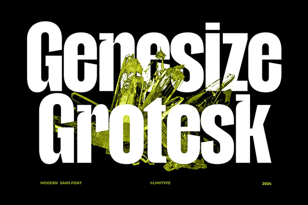 Genesize Grotesk - Display Font