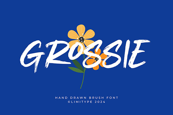 Grossie - Hand Drawn Font