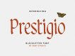 Prestigio Display Font
