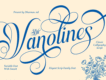 Vanolines - Modern Calligraphy