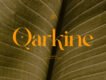 Qarkine - Display Font