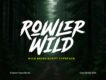Rowler Wild Brush Script