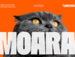 Moara - Bold Condensed Font