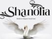 Shanolia Display Font