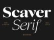 Scaver - Serif Font